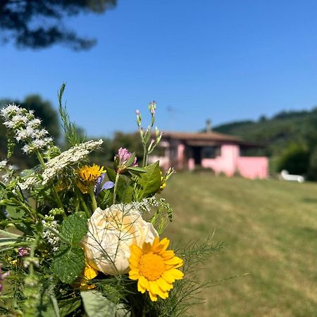 Agriturismo Campolungo Sant'Ermo Bagian luar foto