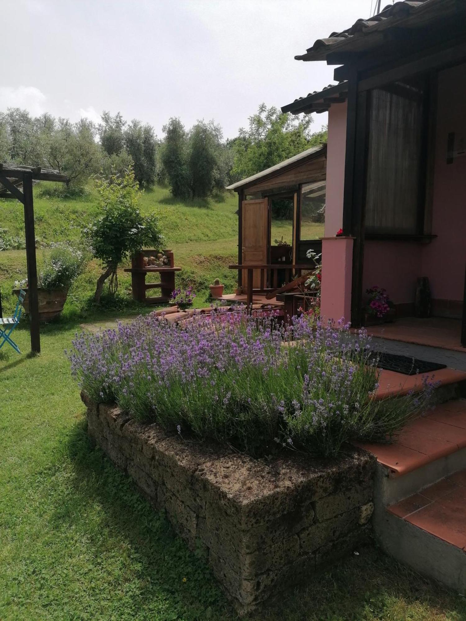 Agriturismo Campolungo Sant'Ermo Bagian luar foto