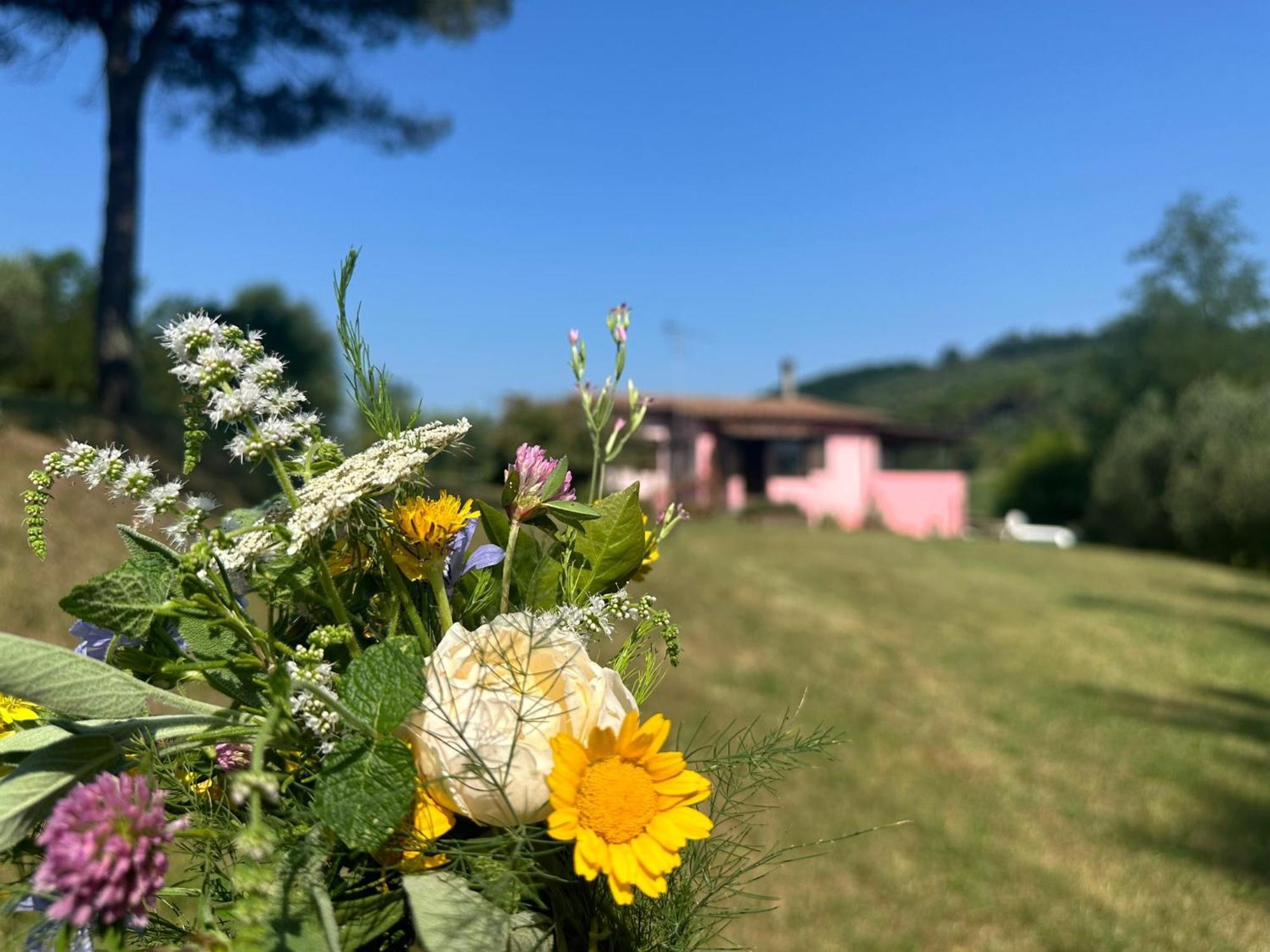 Agriturismo Campolungo Sant'Ermo Bagian luar foto